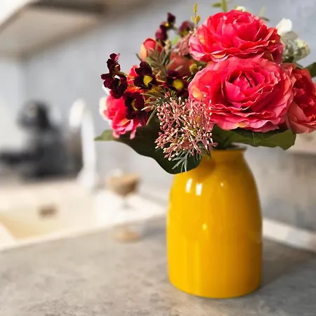 Ivy Luxury - Self Check-in 247 - Garden - Near Airport & Us Embassy - Baneasa Mall Bucarest