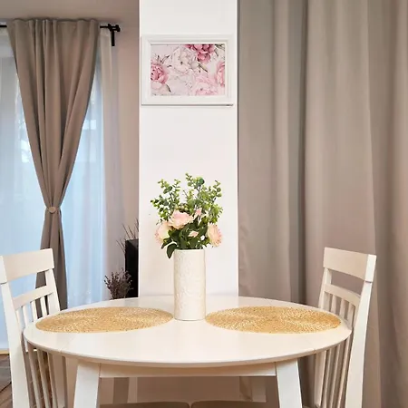 Ivy Luxury - Self Check-in 247 - Garden - Near Airport & Us Embassy - Baneasa Mall Bucarest