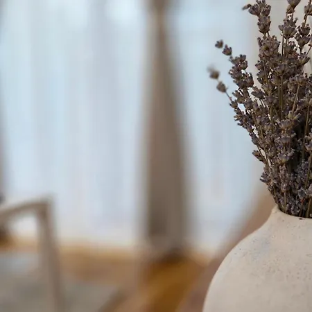 Ivy Luxury - Self Check-in 247 - Garden - Near Airport & Us Embassy - Baneasa Mall Lägenhet *