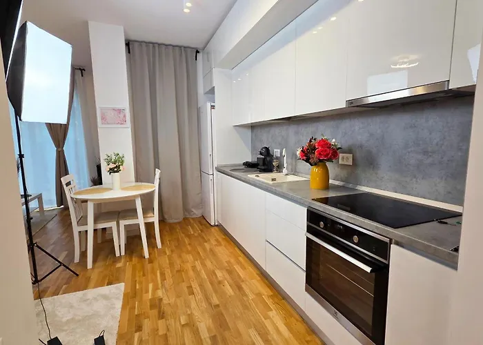 Ivy Luxury - Self Check-in 247 - Garden - Near Airport & Us Embassy - Baneasa Mall 公寓 *