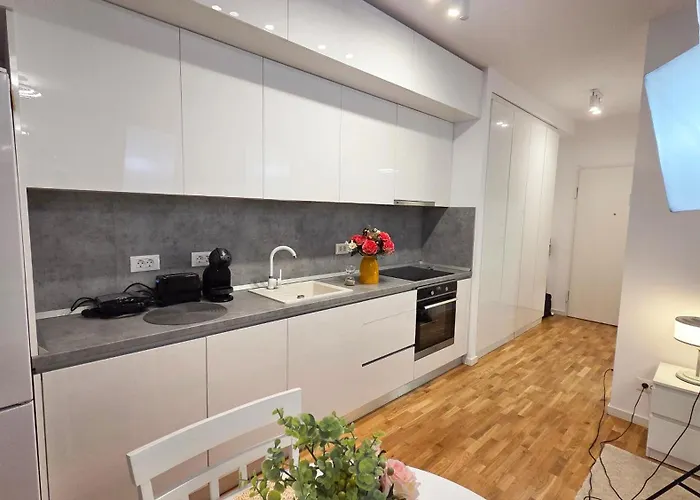 Ivy Luxury - Self Check-in 247 - Garden - Near Airport & Us Embassy - Baneasa Mall 公寓