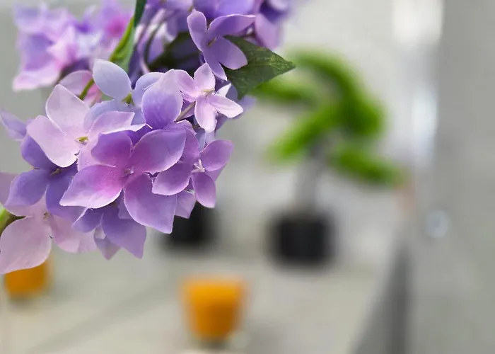 公寓 Ivy Luxury - Self Check-in 247 - Garden - Near Airport & Us Embassy - Baneasa Mall 布加勒斯特