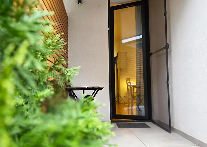 Ivy Luxury - Self Check-in 247 - Garden - Near Airport & Us Embassy - Baneasa Mall * 布加勒斯特