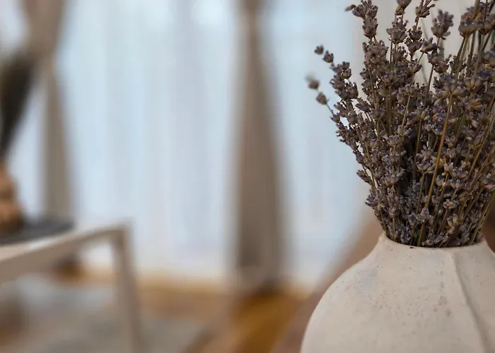 Ivy Luxury - Self Check-in 247 - Garden - Near Airport & Us Embassy - Baneasa Mall 公寓 *